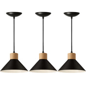 Pendente de Teto Moderno com Detalhe em Madeira - Lighture